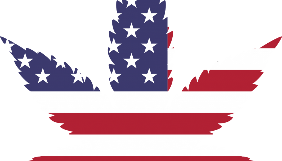 marijuana-2766322_1920