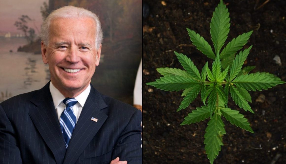 joe-biden-marijuana